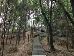 -火炉山森林公园