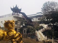 -大东方海鲜酒楼(小武基桥店)