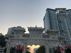 -野狸岛