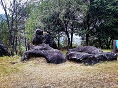 -玉石林风景区