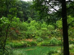-缙云山景区