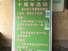 -马陆小张葡萄园农家乐