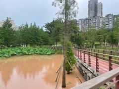 -沐仙湖湿地公园