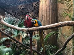 -杭州开元森泊度假乐园