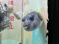 -烟台海昌鲸鲨海洋公园
