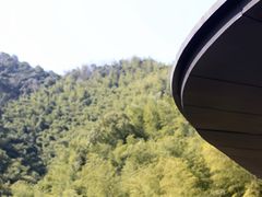 -宁海安岚·南溪阁全日餐厅
