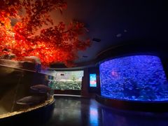 -成都浩海立方海洋公园