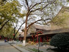 -尤素福东举院饺子馆
