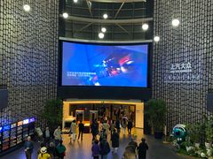 -上海东方艺术中心