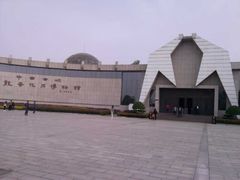 -中国西峡恐龙遗迹园