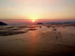 -北岐滩涂