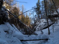 -峡谷浮石林景区