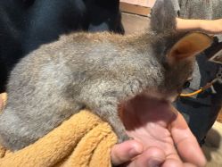 -Zoolung Zoolung动物主题公园(海信广场店)