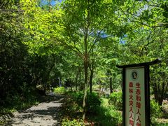 -广州白江湖森林公园