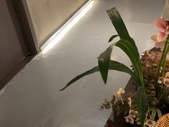 -施奈儿.洗头頭療.按摩SPA.采耳(上梅林店)