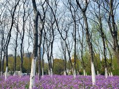 -白塘生态植物园