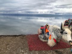 -青海湖国家重点风景名胜区