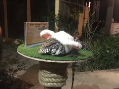 -清迈夜间动物园