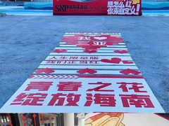 -三亚红色娘子军演艺公园景区