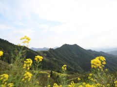 -石潭村
