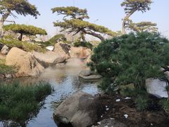 -罗红摄影艺术馆