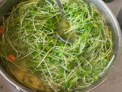 鸡汤萝卜苗-阿庄新豫菜(通泰路店)