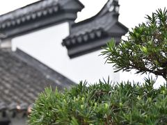 -拙政园