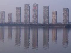 -燕鸣岛