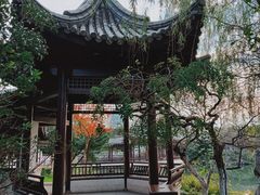 -月湖公园