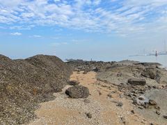 -厦门邮轮中心厦鼓码头(轮渡站)