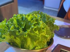 -杨记齐齐哈尔烤肉(总店)