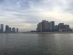 -海河外滩公园