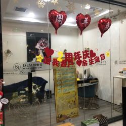 -DEM缔怡美科技美容