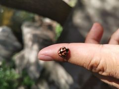 -碓臼峪自然风景区