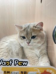 -Waof Park 淘气堡·儿童乐园(番禺天河城店)