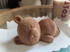 巧克力瞌睡熊-童趣廊·儿童波波池·海洋球(长隆横琴湾酒店)