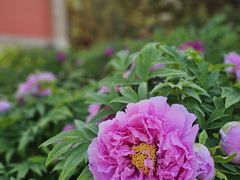 -大钟寺古钟博物馆