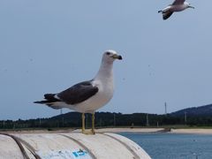 -海驴岛(荣成市)