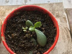 -一品天下(地铁站)