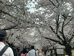 -醍醐寺