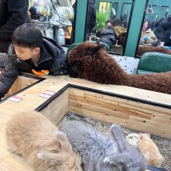 -神奇动物撸宠馆·羊驼·小浣熊·异宠(豫园店)