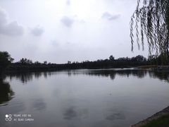 -杨柳青庄园