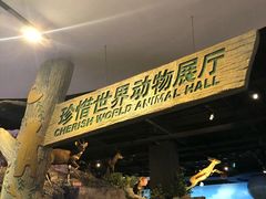 -陕西自然博物馆