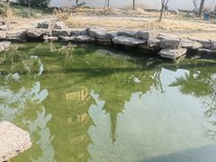-吴作人艺术馆