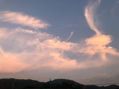 -长隆农庄