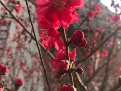 -天津东丽湖风景区