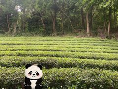 -敬亭山风景名胜区