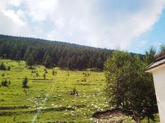 -云座·时光·观景咖啡厅(五爷庙店)