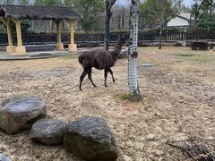 -苏州上方山国家森林公园