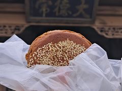 -常家庄园